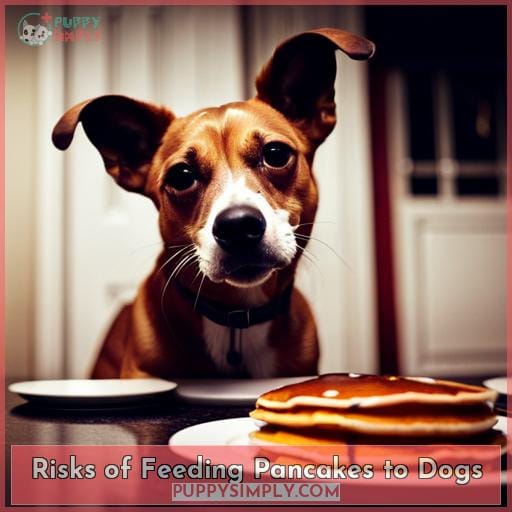 Risks of Feeding Pancakes to Dogs