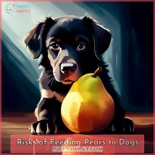 Risks of Feeding Pears to Dogs