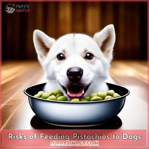 Risks of Feeding Pistachios to Dogs