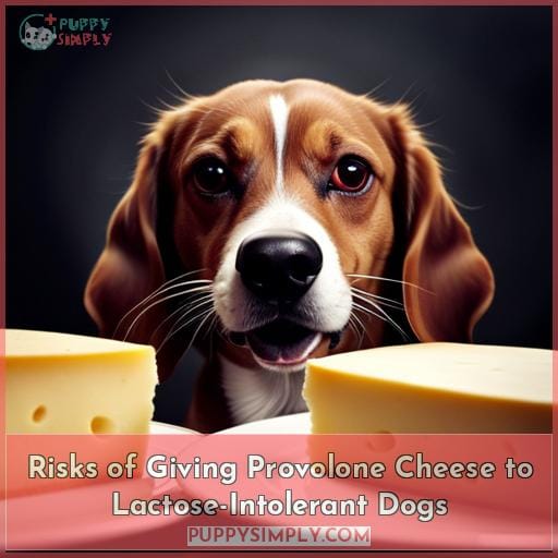 Risks of Giving Provolone Cheese to Lactose-Intolerant Dogs