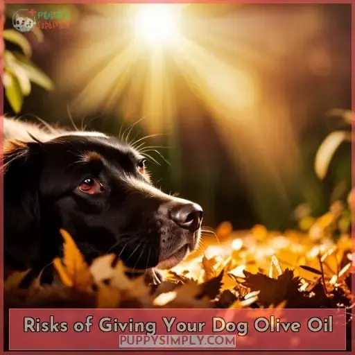 Risks of Giving Your Dog Olive Oil