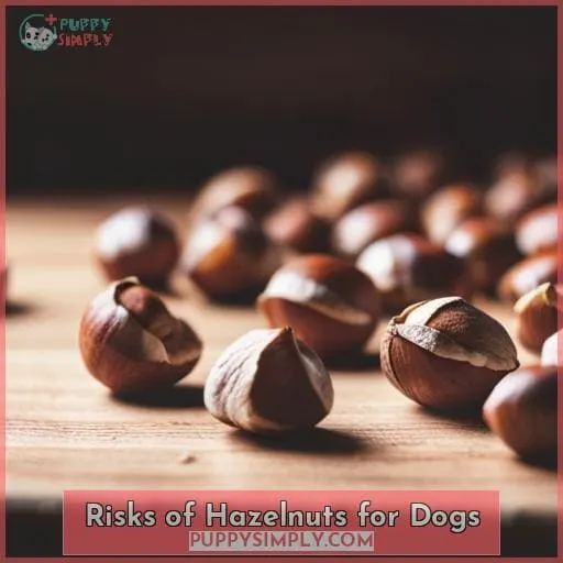 Risks of Hazelnuts for Dogs