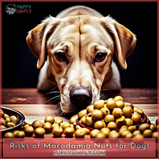Risks of Macadamia Nuts for Dogs