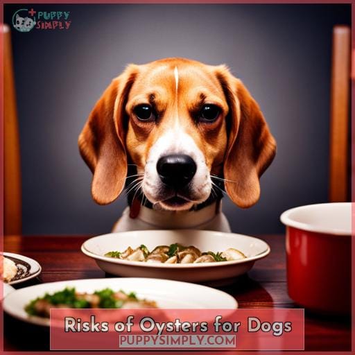 Risks of Oysters for Dogs