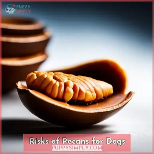 Risks of Pecans for Dogs