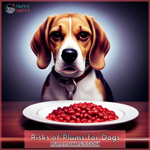 Risks of Plums for Dogs