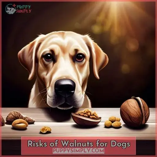 Risks of Walnuts for Dogs