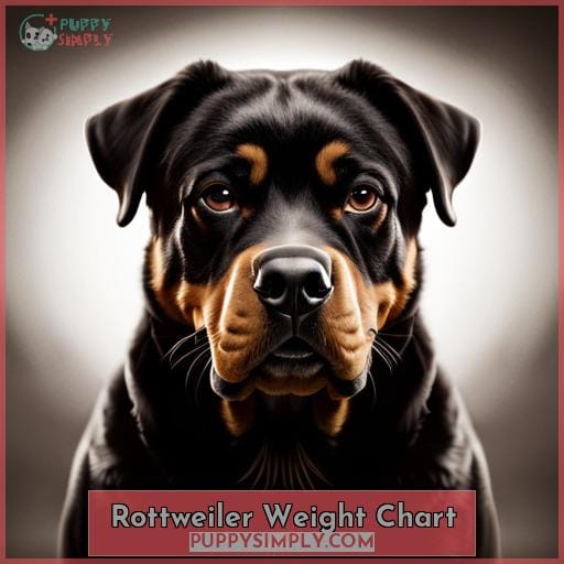 Grow Your Rottweiler Right Weight & Height Chart for Male & Female