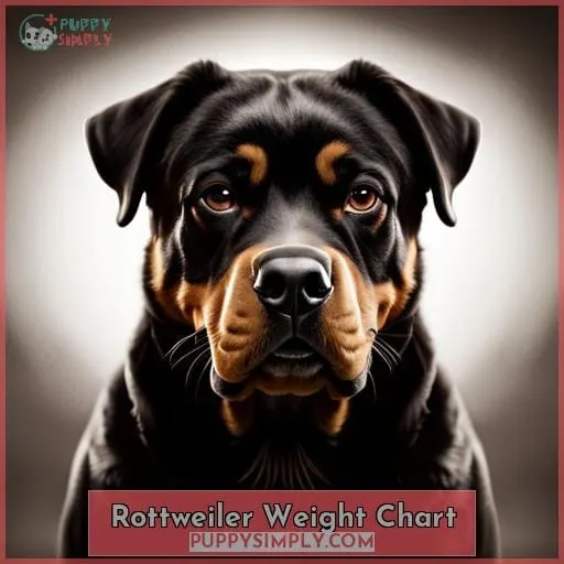 Rottweiler Weight Chart