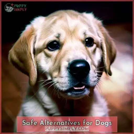 Safe Alternatives for Dogs