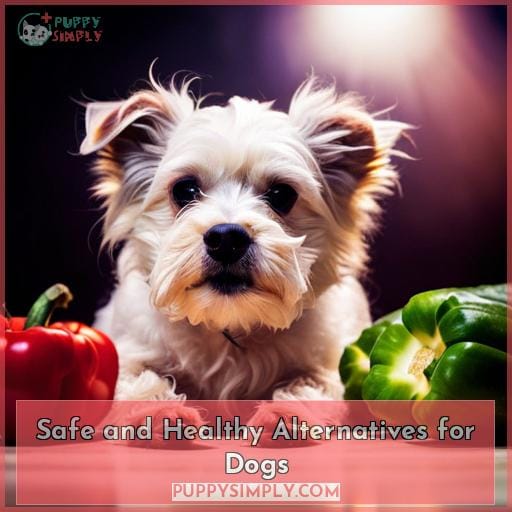 Safe and Healthy Alternatives for Dogs