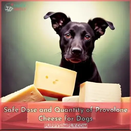 Safe Dose and Quantity of Provolone Cheese for Dogs