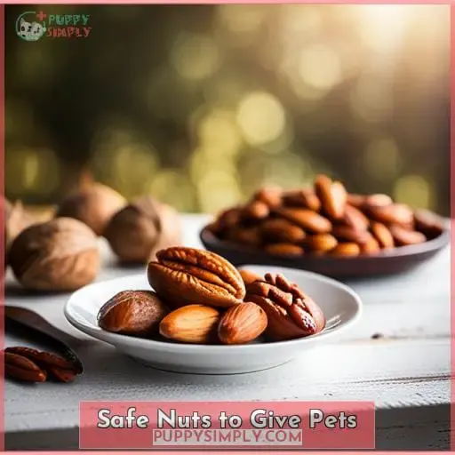 Safe Nuts to Give Pets