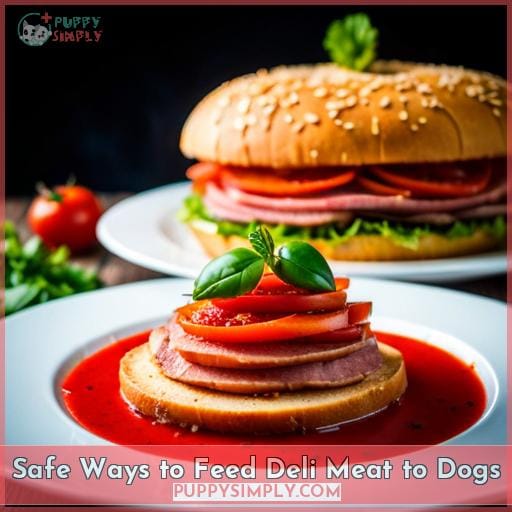 Can Dogs Eat Deli Meat? Know the Risks & Safe Ways to Feed