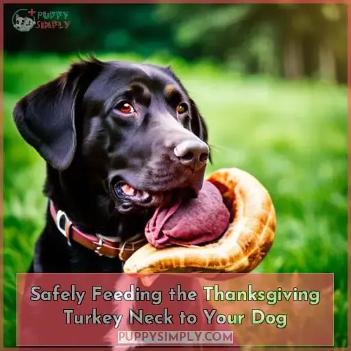 Safely Feeding the Thanksgiving Turkey Neck to Your Dog