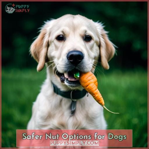 Safer Nut Options for Dogs