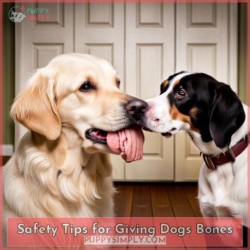 Safety Tips for Giving Dogs Bones Safety Tips for Giving Dogs Bones