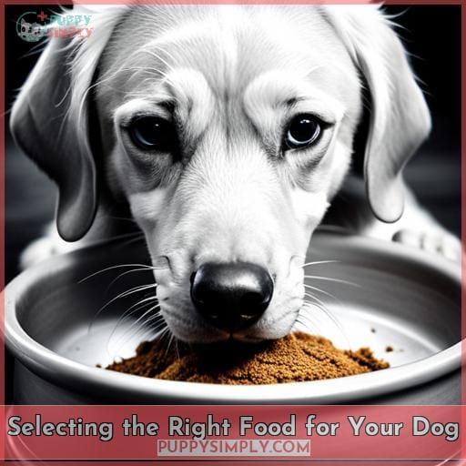 Selecting the Right Food for Your Dog