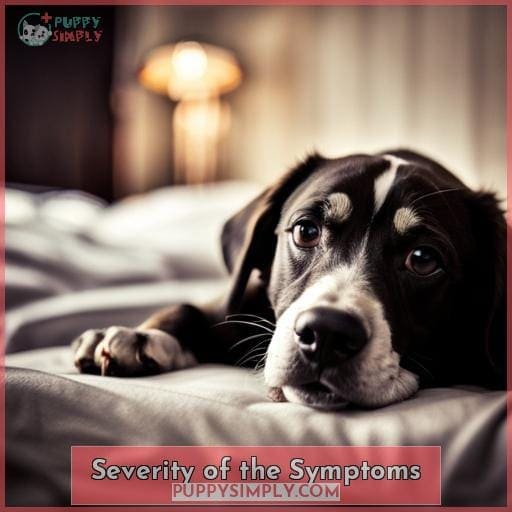 Severity of the Symptoms