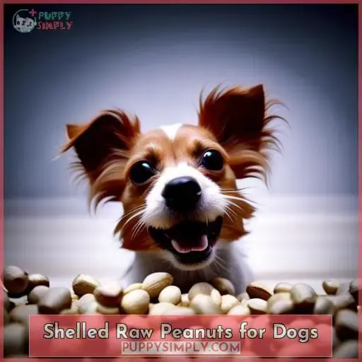 Shelled Raw Peanuts for Dogs