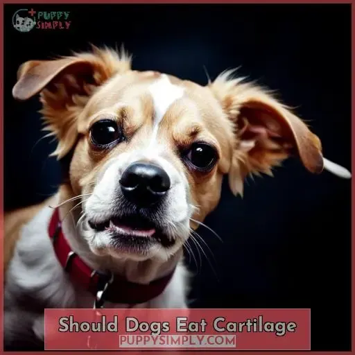 Should Dogs Eat Cartilage