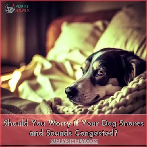Should You Worry if Your Dog Snores and Sounds Congested?