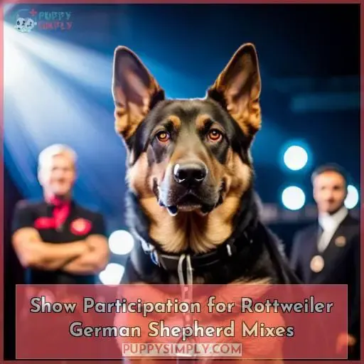 Show Participation for Rottweiler German Shepherd Mixes