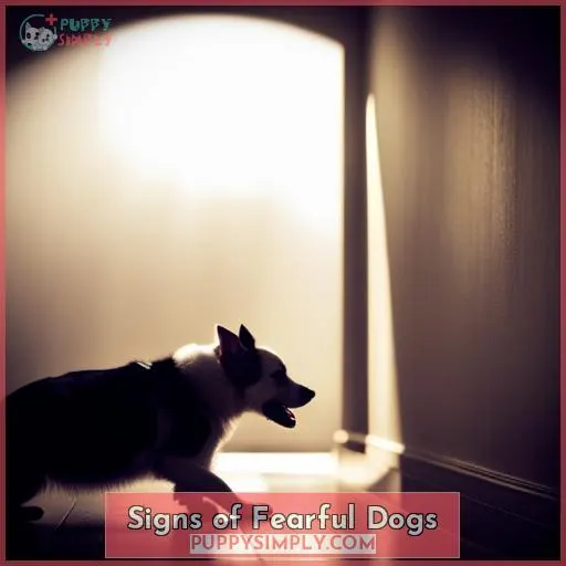 Signs of Fearful Dogs