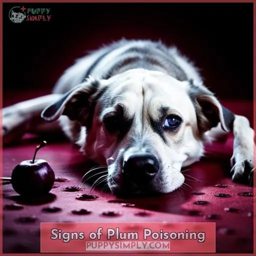 Signs of Plum Poisoning