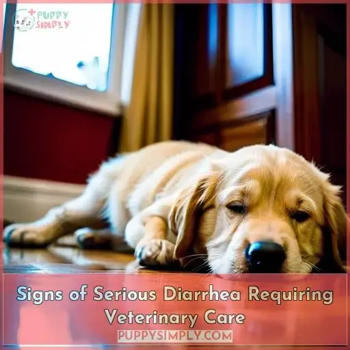 Signs of Serious Diarrhea Requiring Veterinary Care