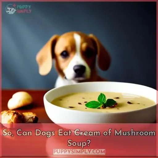 So, Can Dogs Eat Cream of Mushroom Soup?