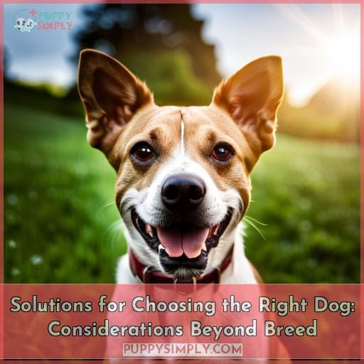 Solutions for Choosing the Right Dog: Considerations Beyond Breed