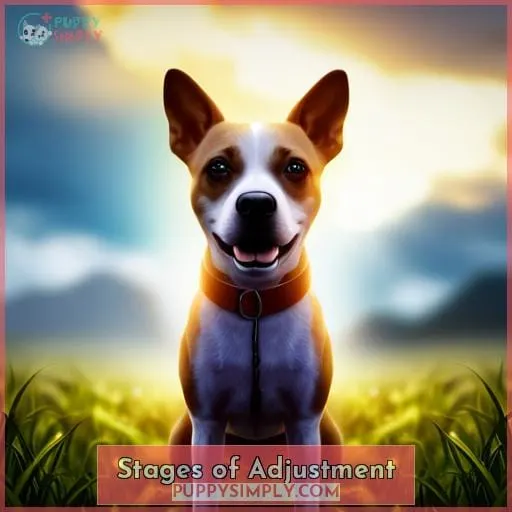 Stages of Adjustment