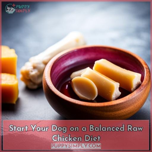Start Your Dog on a Balanced Raw Chicken Diet