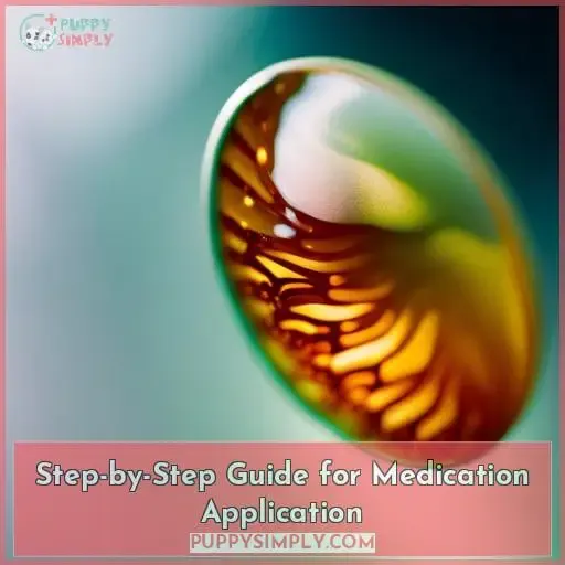 Step-by-Step Guide for Medication Application