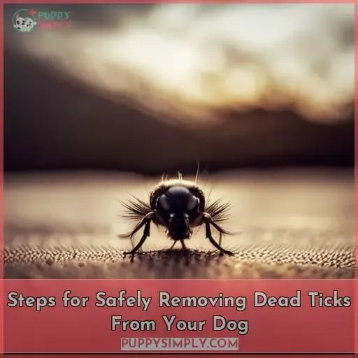 Steps for Safely Removing Dead Ticks From Your Dog