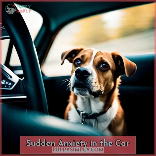 Sudden Anxiety in the Car