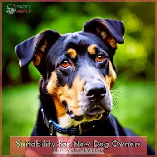 Suitability for New Dog Owners