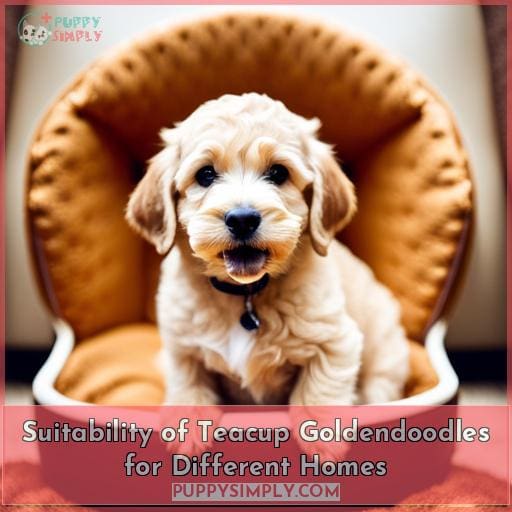 Suitability of Teacup Goldendoodles for Different Homes