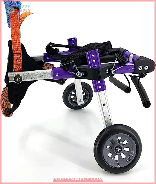 SYLPHID Adjustable Dog Wheelchair for