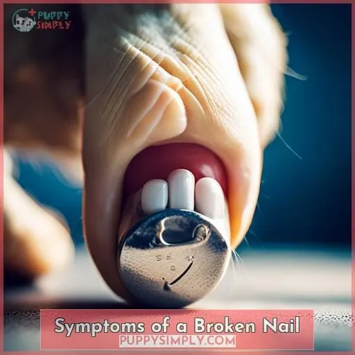 Symptoms of a Broken Nail