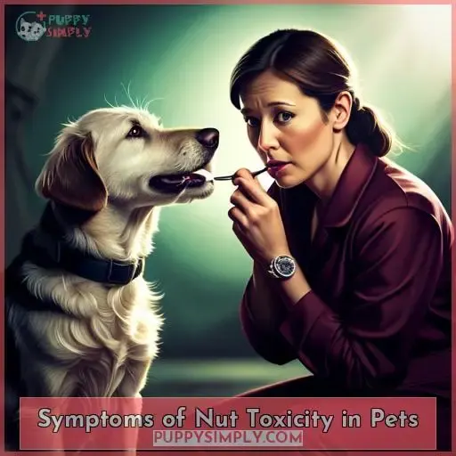 Symptoms of Nut Toxicity in Pets