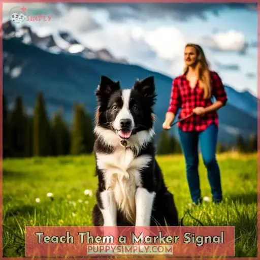 Teach Them a Marker Signal