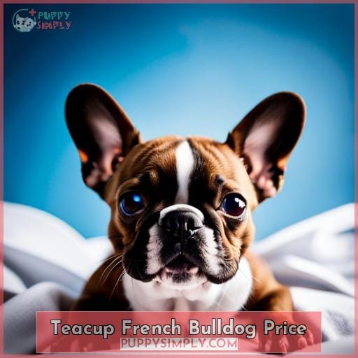 Teacup French Bulldog Price