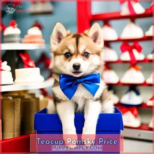 Teacup Pomsky Price