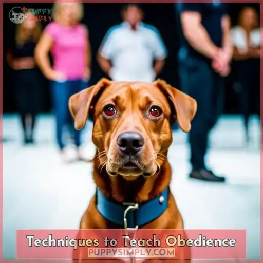 Techniques to Teach Obedience