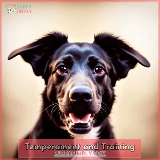 Temperament and Training