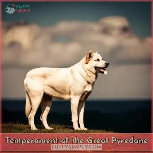 Temperament of the Great Pyredane