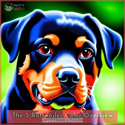 The 5 Rottweiler Color Overview