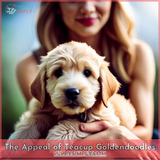 The Appeal of Teacup Goldendoodles